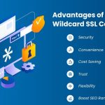 What is a SSL Wildcard Certificate?