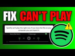 Getting Spotify to work on Linux